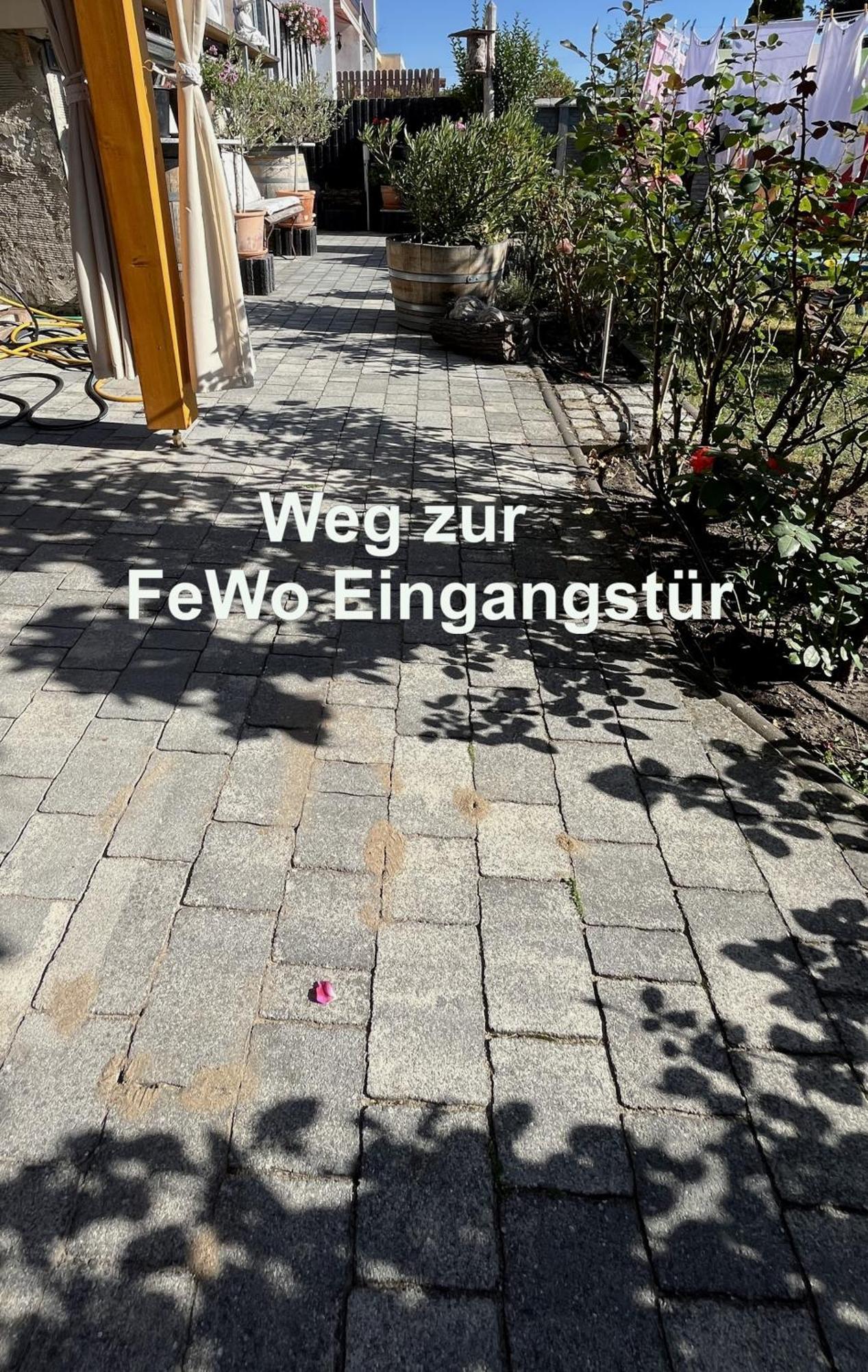 Die Ferienwohnung - Wittenberg An Den Elbwiesen Exterior photo